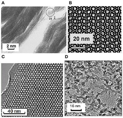 Structure and Dynamics of Confined C-O-H Fluids Relevant to the Subsurface: Application of Magnetic Resonance, Neutron Scattering, and Molecular Dynamics Simulations